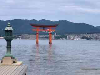 厳島神社の大鳥居